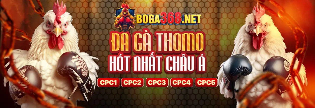 Vicwin Hoàn Trả Hàng Ngày